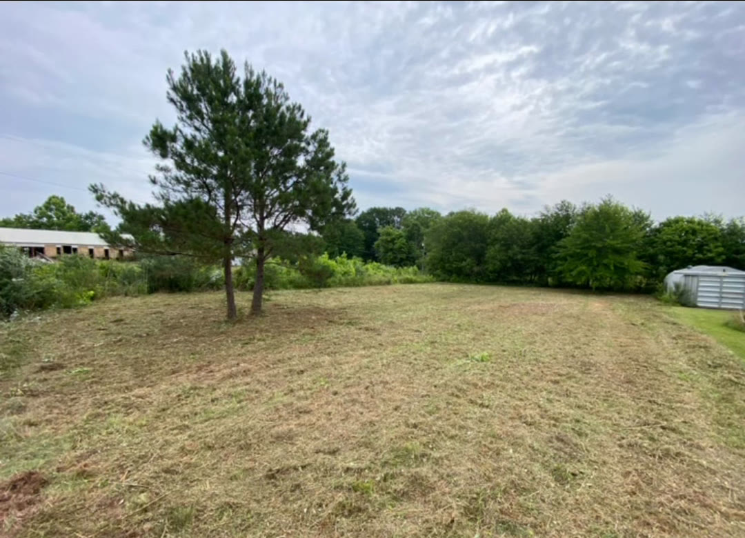 The same field after: cut back to short grass, the lone pine and the shed in clear view.
