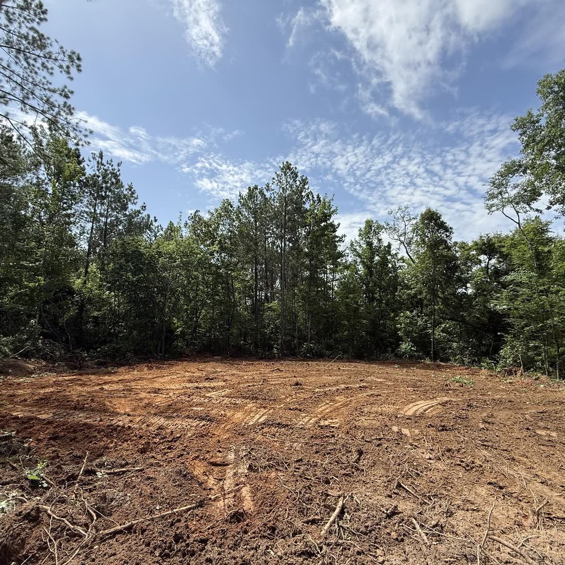 A freshly cleared lot of bare red dirt, a line of pines left standing behind it.