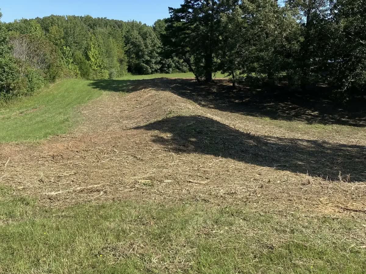 A brushy bank along a field mulched down, the mown grass running beside it.