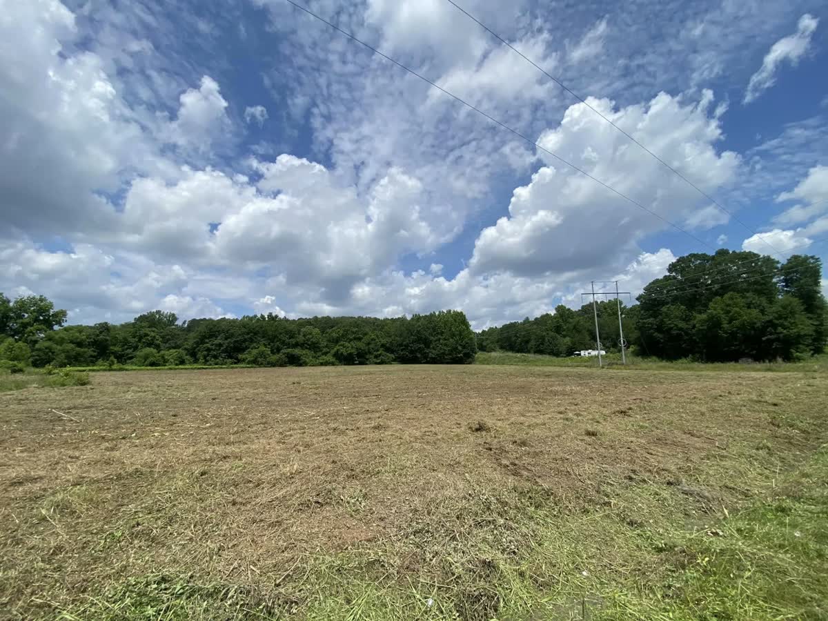 A wide overgrown field mulched flat under the power lines.