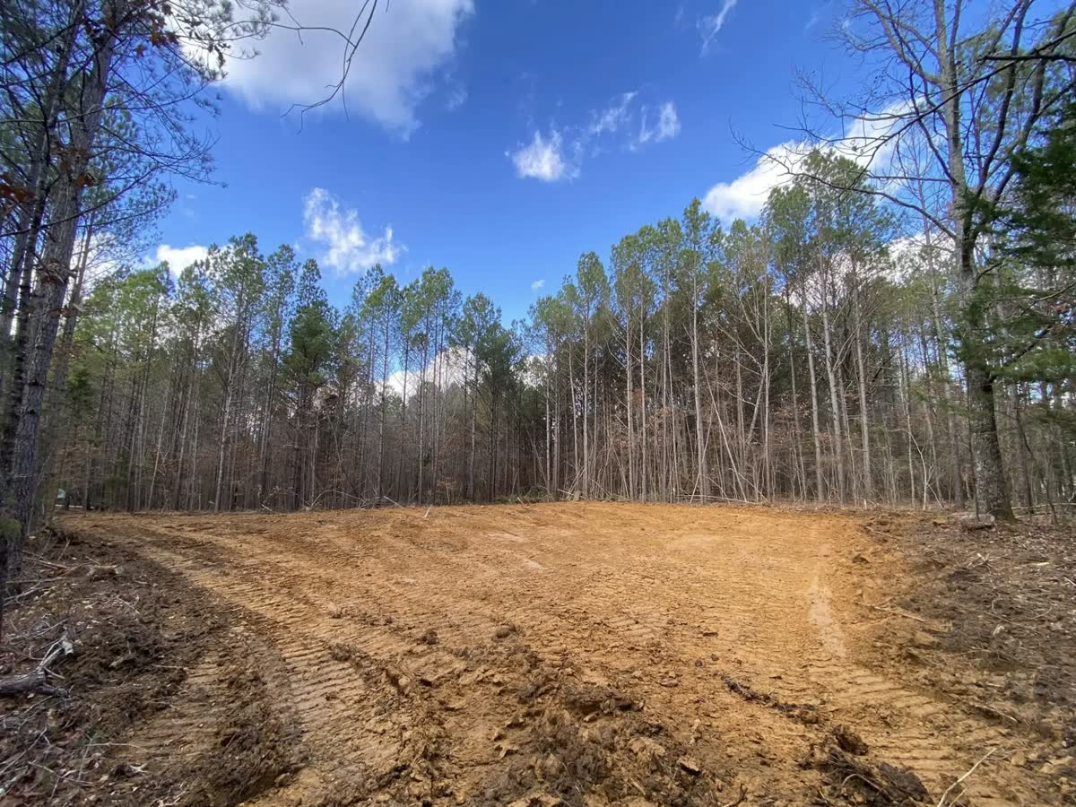 A cleared pad of graded red clay at the edge of a stand of pines.