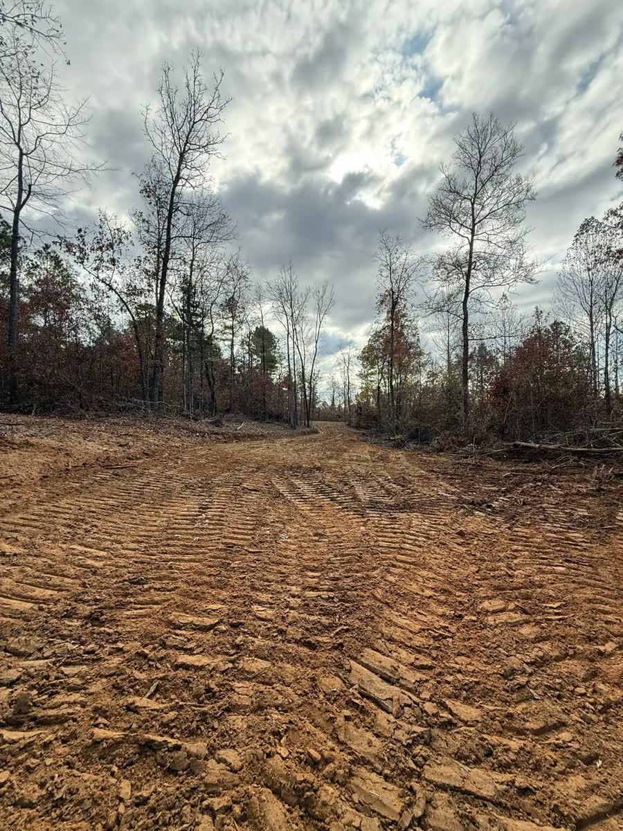 A new dirt road cut through bare winter woods, track marks pressed into the red clay.