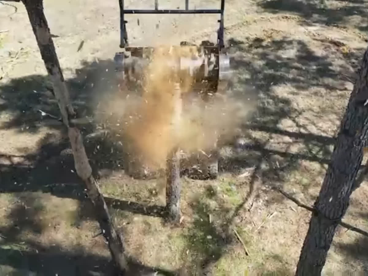 From above: the mulcher chewing through brush among the trees.