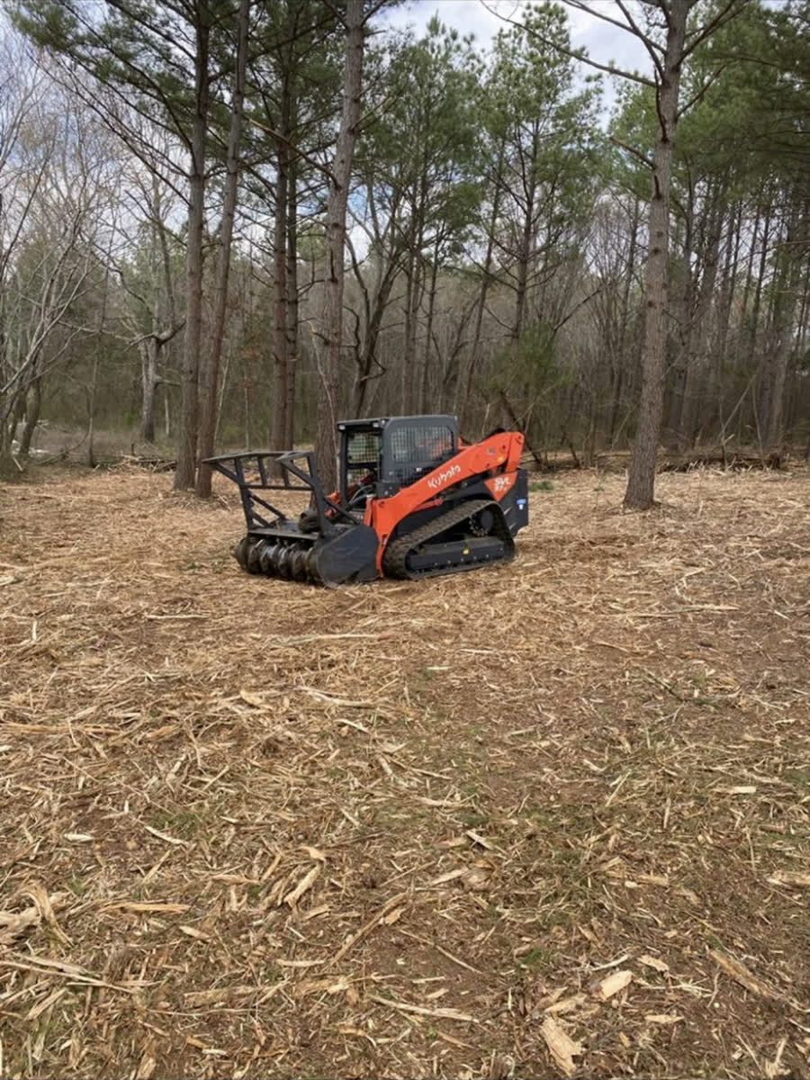 A tracked mulcher in pine woods, the ground around it freshly mulched.