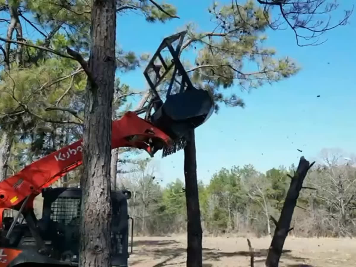 A mulching head raised high on the arm of a tracked machine, cutting the top of a dead pine.
