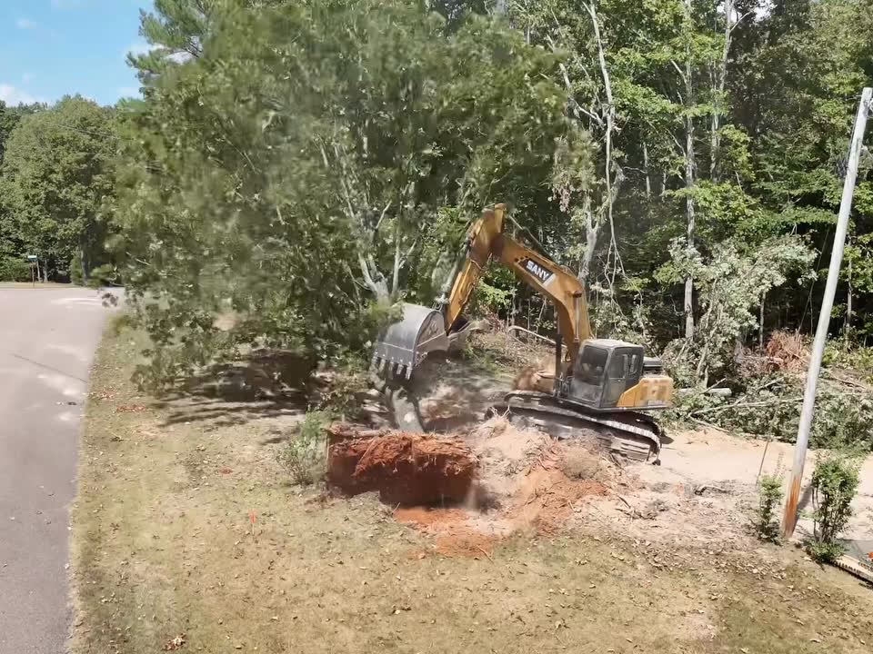 An excavator taking down a big tree beside a road, its stump already pulled.